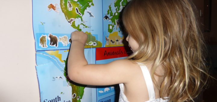 Allegra using our world animals map